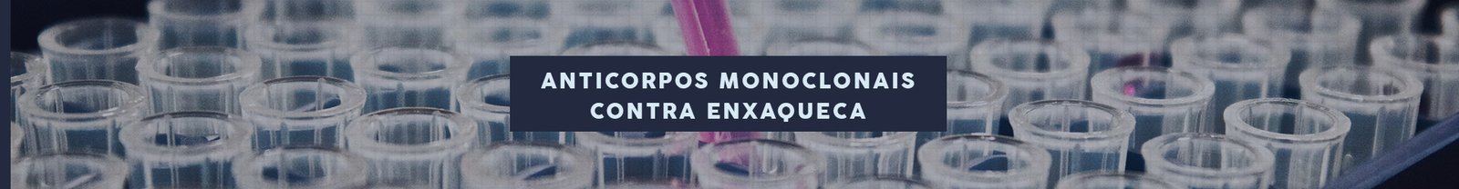 HEADER-ARTIGO—Anticorpos-Monoclonais HEADER-ARTIGO---Anticorpos-Monoclonais